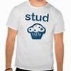 stud.jpg