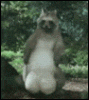 squirl.gif