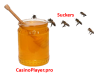 honey-pot.png