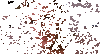 200w.gif