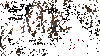 source.gif