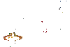 giphy.gif
