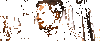 giphy.gif?cid=4bf119fcec0ed3f7cd2b908114d4e0a231ecabf91144d907&rid=giphy.gif