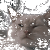 tumblr-n3s9r5-GRk-M1rlt1nto1-400.gif