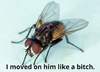 upload_2020-10-8_16-52-27.png