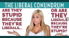 stupid-liberals.jpg