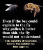 076443_n.jpg?_nc_cat=101&ccb=2&_nc_sid=8bfeb9&_nc_ohc=Eyck6fbQE7wAX9yTXsd&_nc_ht=scontent-ort2-2.jpg