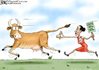cowsAss.png