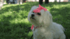 2375D554-8F74-4A79-838F-F4396B21FF57.gif