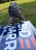 181260_n.jpg?_nc_cat=1&ccb=1-5&_nc_sid=8bfeb9&_nc_ohc=7xB3StIrufYAX_K-bWZ&_nc_ht=scontent-ort2-2.jpg