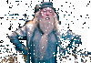dumbledore.gif