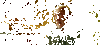 mike.gif