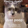 ssv2.thumb.PNG.39f2cf64d9628e27a380c5215eab48f4.png