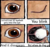 ssv24.thumb.PNG.d339b578bd274bd98813944653499068.png