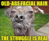 ssv40.thumb.PNG.eb004fb5a82803febad69337340665ba.png