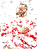 giphy.gif