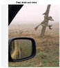Witch - Drink & Drive!.jpg