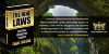 Quote-card-for-100-Dark-World-Lessons-from-The-Nine-Laws-by-Ivan-Throne.jpg
