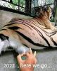 7677_n.jpg?_nc_cat=108&ccb=1-5&_nc_sid=825194&_nc_ohc=OSs4mfkqa34AX-DNTST&_nc_ht=scontent-ort2-2.jpg
