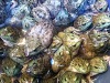 as-mad-as-a-box-of-frogs.jpg