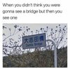 bridge.jpg
