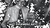 Q2doQd.gif