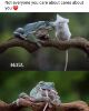 jpg_s960x960&_nc_cat=1&ccb=1-6&_nc_sid=8bfeb9&_nc_ohc=uVt8DN2xjAgAX9T52SK&_nc_ht=scontent-ort2-2.jpg