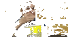 gif-eating-popcorn-9.gif