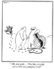 dumb.png