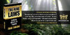 Quote-card-for-100-Dark-World-Lessons-from-The-Nine-Laws-by-Ivan-Throne (46).jpg
