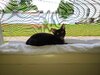 20220623_105936.jpg