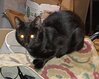 20220208_210038.jpg