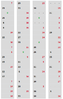upload_2024-6-7_9-30-51.png