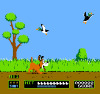 duckhunt.png