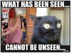 what's been seen.jpg