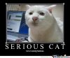 fuckin-serious_o_172280.jpg