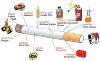 cigarette-ingredients.jpg
