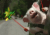 imagenes-de-cerditos.gif
