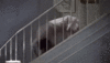 200w.gif