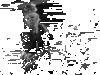 monkey_drum_9e4e8067113e3be9105a5129d18afb9bd14aec24.gif