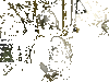 250.gif