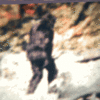giphy-downsized-large.gif