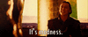15944844.gif