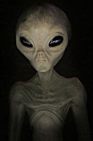 ForexAlien