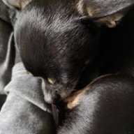 Casey