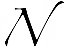 NuttyConcepts