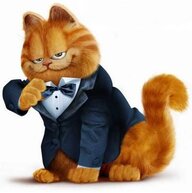 FatCat