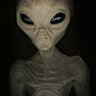 ForexAlien