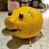 lemonade