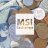 Msi forex exchange